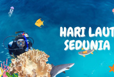 PBB Gelar Perayaan Hari Laut Sedunia 8 Juni 2026, Ini Tema dan Sejarahnya