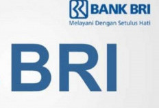 Skema Tabel KUR BRI 2026 Plafon Rp60 Juta, Cek Cara Pengajuan Cicilan 5 Tahun!