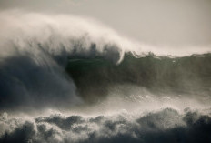 Kondisi WNI Terkini Imbas Gempa Jepang M 7,4 yang Picu Peringatan Tsunami