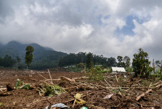 Relokasi Longsor Cisarua, Dsiapkan 4 Hektare Lahan untuk Huntap