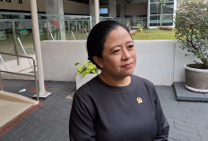 Puan Minta Mitigasi Hantavirus Diperkuat: Jangan Sampai Meluas seperti Pandemi COVID-19