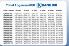 Update Tabel KUR BRI 2026 Pinjaman Rp75 Juta Buat Modal UMKM, Cicilan 1-5 Tahun Bayar Berapa?