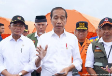 Respons Jokowi Soal Bobby Masuk Gerindra: Sebagai Orang Tua Hanya Bisa Mendoakan