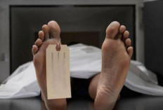 Sosok Mahasiswi Unhas Tewas Diduga Lompat dari Gedung Kampus, Sempat Rekam Pesan Suara