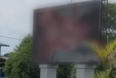 Heboh Videotron Melawi Tampilkan Adegan Tak Pantas, Diskominfo Sebut Ada Unsur Akses Tidak Sah