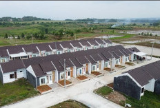 Penyaluran KPR Subsidi Didominasi FLPP, BRI Perkuat Komitmen Tingkatkan Akses Hunian Terjangkau dalam Program 3 Juta Rumah