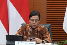 Netflix, Daging Wagyu, Sabun, Sampo, Tak Kena PPN 12%, Ini Kata Sri Mulyani