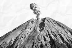 Gunung Semeru Meletus Lagi, Kolom Abu Capai 1,2 Km, Waspadai Lahar Panas