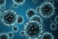 Flu Baru Varian K dari H3N2 Serang Anak-anak di Spanyol, Korban Maningkat Signifikan Menjelang Natal
