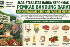 Dinsos KBB Bersama Kemensos Salurkan Alat Bantu dan Modal Usaha bagi Puluhan PPKS