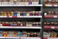 Harga Rokok Resmi Naik, Bakal Jadi Celah Rokok Ilegal untuk Berjaya?   