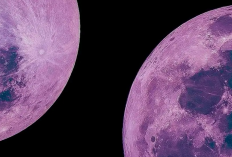 Cara Melihat Pink Moon April 2026 dan Waktu Terbaiknya di Indonesia, Bisa Tanpa Alat Bantuan