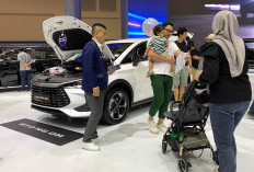 Perbandingan Biaya Penggunaan Harian BYD M6 DM-i dengan Mobil ICE