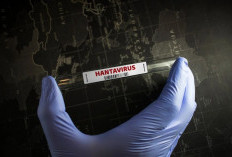 Dikira Influenza Ternyata Hantavirus, 2 Diagnosis Penyakit yang Serang Pernapasan dan Disangka Mirip