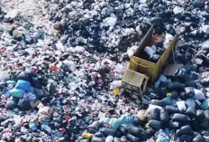 Penanganan Tumpukan Sampah di Penjaringan Ditargetkan Rampung Hari Ini