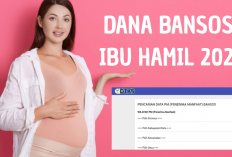 Ibu Hamil Bisa Dapat Bansos 2025 dari Pemerintah, Simak Cara Cek Statusnya dan Besaran Dana yang Diterima!