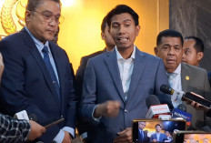 Soal Malaysia-Brunei Gugat Indonesia Gegara Asap Karhutla, Gerindra Ungkap Langkah Pemerintah