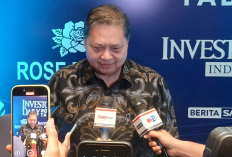 Mulai Hari Ini Ekspor Batu Bara dan Sawit Satu Pintu Lewat PT DSI, Apa Untungnya Buat Pengusaha? 
