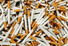 YLKI Tekankan Perlunya Pembatasan Penjualan Rokok untuk Lindungi Konsumen Muda