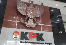 Donny Tri Istiqomah Bingung Atas Status Tersangkanya di Kasus Harun Masiku, KPK: Kami Punya Cukup Bukti   