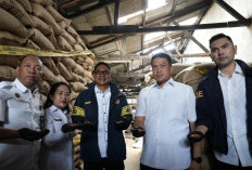 Pemprov DKI Dorong Polisi Usut Tuntas Penyelundupan 49 Ton Kacang Tanah dari India