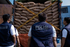 Geger! 49,85 Ton Kacang Tanah Diduga Masuk Indonesia Tanpa Dokumen Impor Lengkap