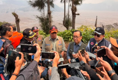 Muncul Isu Liar Pratikno Sakit dan Mundur: Saya di Bromo Tangani Kebakaran