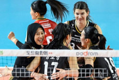 Vanja Bukilic Gagal Duet Bersama Megawati Hangestri, Hyundai Hillstate Pilih Jordan Wilson
