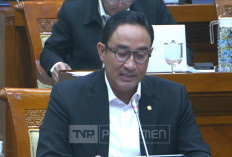 Kepala BNN Dicecar Anggota DPR Soal Whip Pink: Ini Masuk Narkotika atau Bukan?