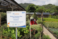 Berbasis Komunitas, BRI Jadi Motor Penggerak 42 Ribu Klaster Usaha Rakyat