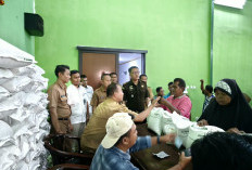 BULOG Cirebon Kawal Bantuan Pangan, 198 Karung Beras Diduga Disalahgunakan Oknum Desa