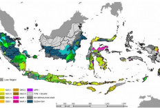 Musim Hujan 2026-2027 Segera Tiba, BMKG Ungkap Perkiraan Puncaknya