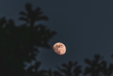 Bulan April Bawa Hoki? Ini Weton yang Dipercaya Alami Lonjakan Rezeki