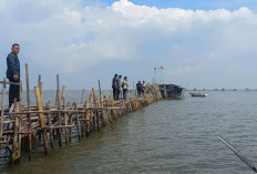 Pejabat Bappeda Kab Tangerang Diperiksa Bareksrim Terkait Polemik Pagar Laut