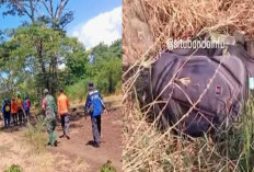 Misteri Tewasnya Penggembala Sapi di Baluran, Ditemukan Meninggal Sisa Tulang Belulang