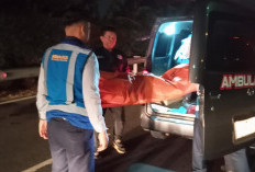 Ini Kronologi dan Penyebab Jeep Mercedes Terbakar usai Tabrak Truk di Tol Jagorawi