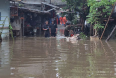 Hujan Sejak Deras Pagi, Dua RT di Cilandak Timur Terendam Banjir