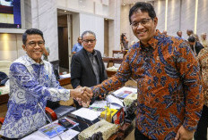 Rujak Solo