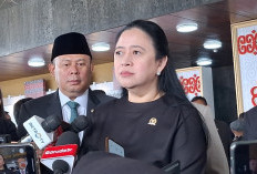 Jadi Ketua DPR RI Kembali, Puan Maharani Punya Harta Segini  