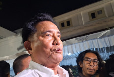 Sepakat dengan Luhut, Yusril Dorong Reformasi UU Tipikor Selaras dengan UNCAC
