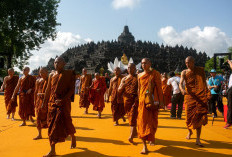 Jelang Waisak, 50 Biksu Thudong Ibadah Jalan Kaki dari Bali ke Candi Borobudur 