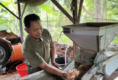 Kisah Husni, Bangga Jadi Pemasok Tempe Untuk Dapur MBG, Raih Omset Rp 1 Juta Perhari