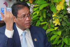 Bea Cukai Bakal Dibubarin, Purbaya: Presiden Kasih Waktu Setahun, Penggantinya SGS!