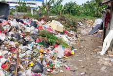 Dinas LH Kota Tangerang Kerahkan 5 Armada Angkut Sampah yang Tutupi Akses Jalan Rumah Warga di Karang Tengah