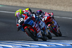Moto3 Junior 2026: Balapan yang Sulit di Jerez, Ramadhipa Terap Raih Poin Maksimal