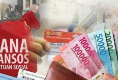 Bansos Desember 2025 Siap Diambil, Segera Cek NIK DTSEN Kamu Lewat HP dengan Cara Ini