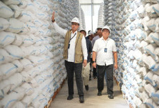 BULOG Dapat Dukungan Finansial dari Pemerintah, Transformasi Menuju Swasembada Pangan Berkelanjutan