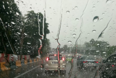 Info Prakiraan Cuaca Malam Tahun Baru 2026 di Berbagai Wilayah Indonesia, Sebagian Hujan Ringan!