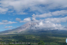 Gunung Semeru Naik Level III Siaga, Warga Lumajang Diminta Jauhi Zona Bahaya