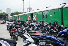 Kemenhub Perluas Program MOTIS 2026, Tambah Lintas Selatan, Ini Cara Pendaftarannya